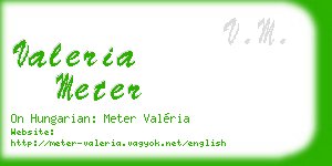 valeria meter business card